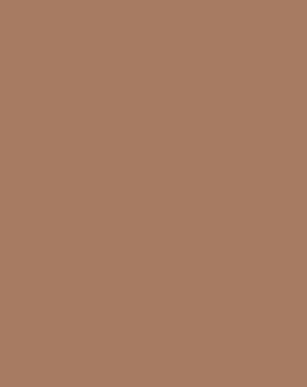All Brown without Label Notebook - College Ruled - Light Gray Lines - 8.5 x 11 inches - 100 pages front cover